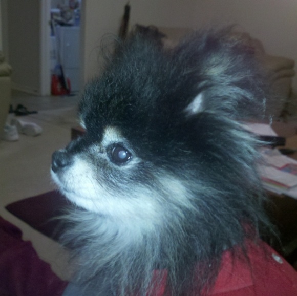 Meet the Posher - Picture 4 of 4